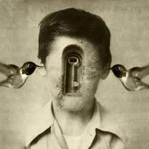 Meet your Posher, Kirstin